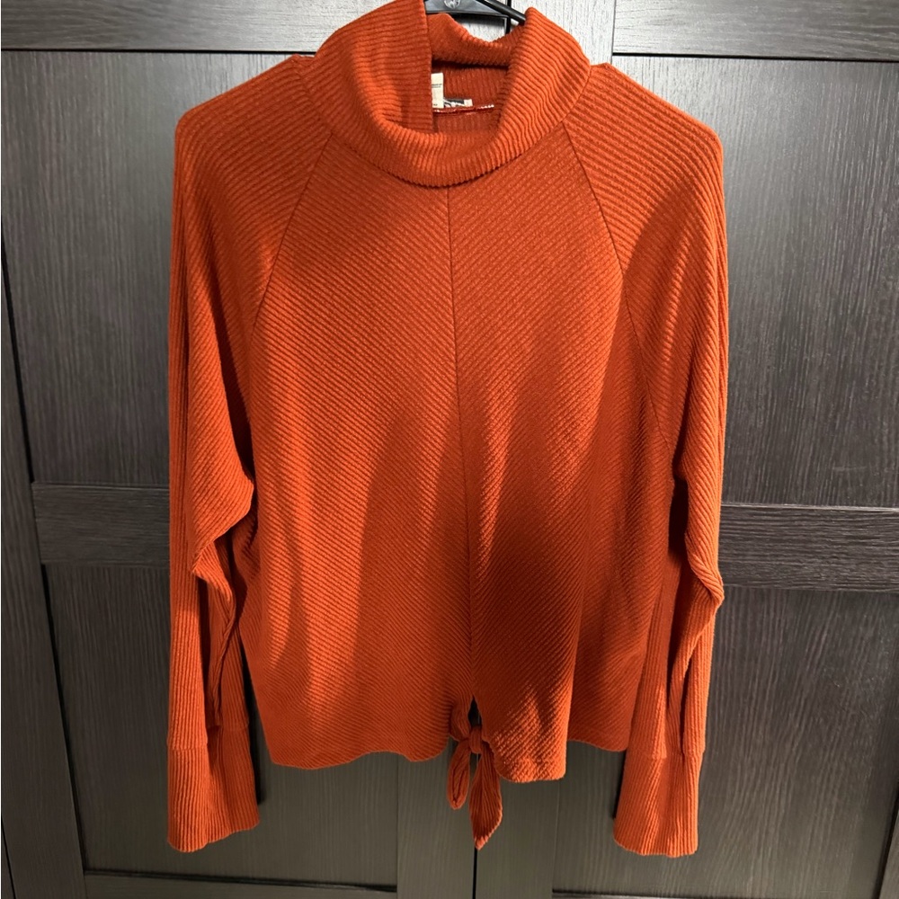 Express Women's rust Sweater